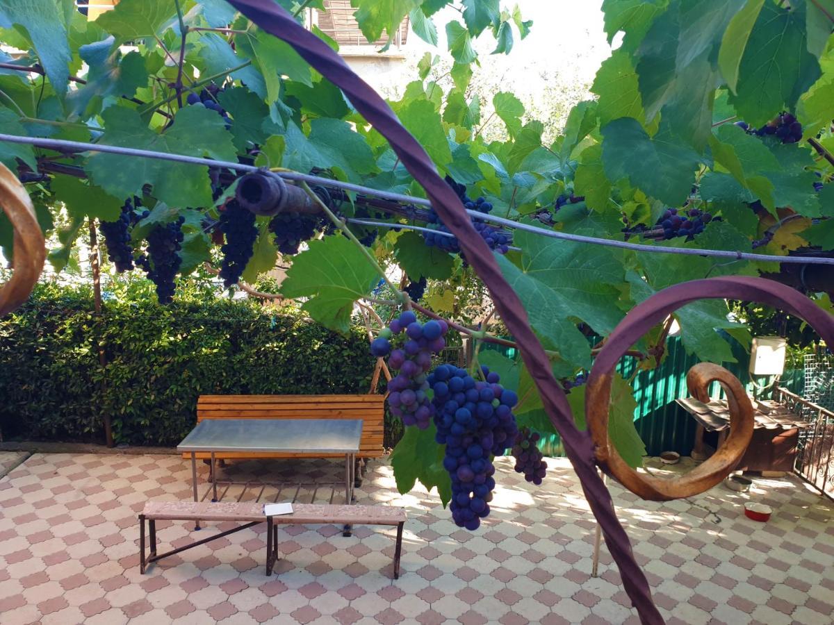 Guest House Lykhny Γκάγκρα Εξωτερικό φωτογραφία