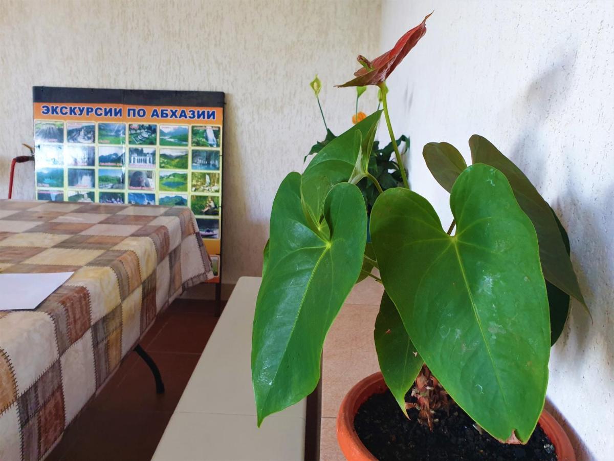 Guest House Lykhny Γκάγκρα Εξωτερικό φωτογραφία